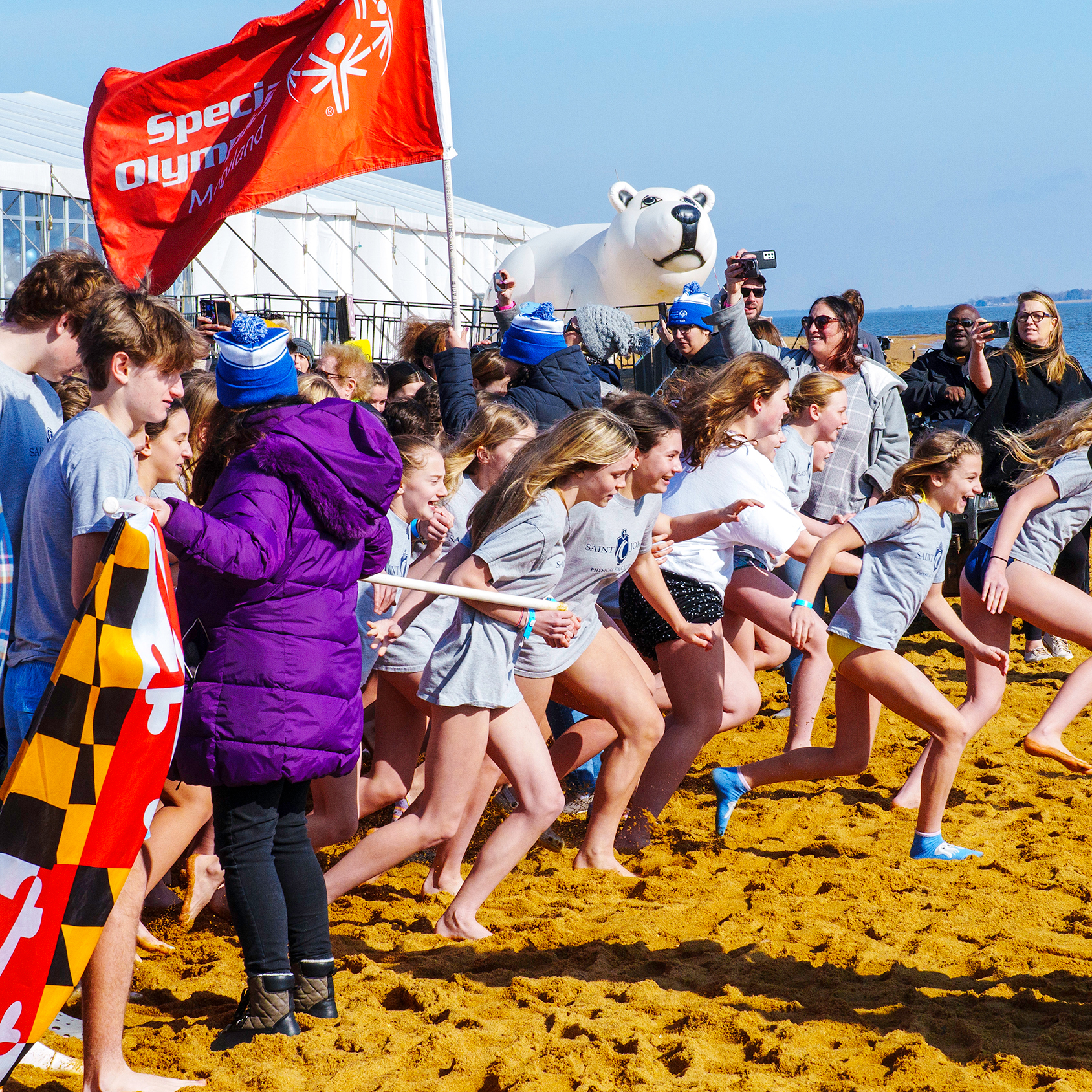 Polar Bear Plunge